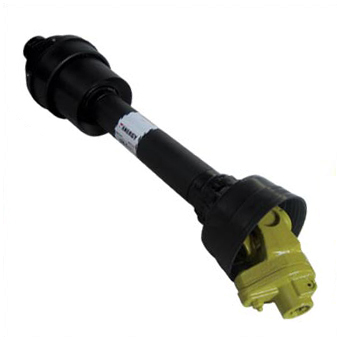 LIMONE CON LIMITATORE BULLONE